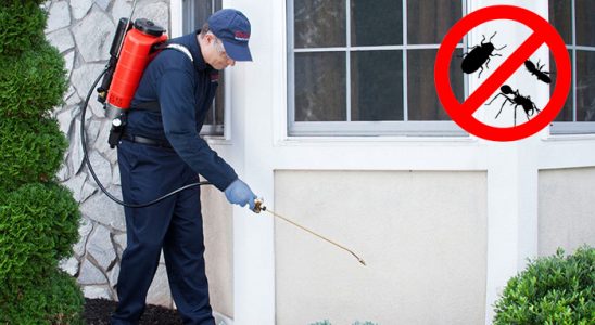 Güney Karınca İlaçlama böcek ilaçlama ve haşere kontrolü — ilaclama-tr.com